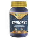 Eurosup Tribosyl 60 cpr. Tribulus Terrestris Zinco e Selenio Supporto Ormonale in vendita su Nutribay.it