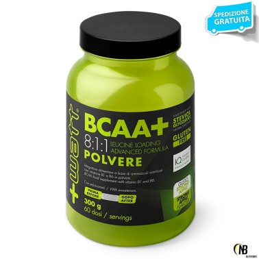 +Watt Bcaa+ 300gr Aminoacidi Ramificati 811 8:1:1 polvere Kyowa + Vitamine b1 b6 AMINOACIDI BCAA 8.1.1