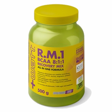 +WATT R.M.1 500 g gusto Mela POST WORKOUT COMPLETI