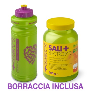 +WATT Sali+ 500g Sali Minerali Ipotonica con Magnesio , Potassio e Maltodestrine SALI MINERALI