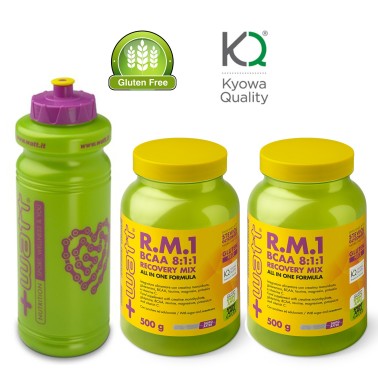 +WATT R.M.1 Recovery Aminoacidi BCAA 8:1:1 Potassio Creatina Vitamine Magnesio POST WORKOUT COMPLETI