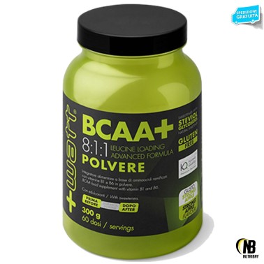 +WATT BCAA+ 300gr Aminoacidi Ramificati 811 8:1:1 polvere Kyowa + Vitamine b1 b6 AMINOACIDI BCAA 8.1.1