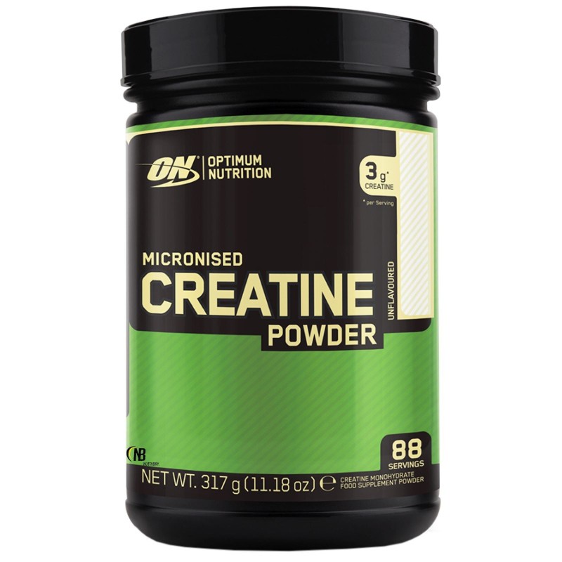 ON Optimum Nutrition Creatine Powder 317 gr. Creatina Monoidrata Micronizzata CREATINA