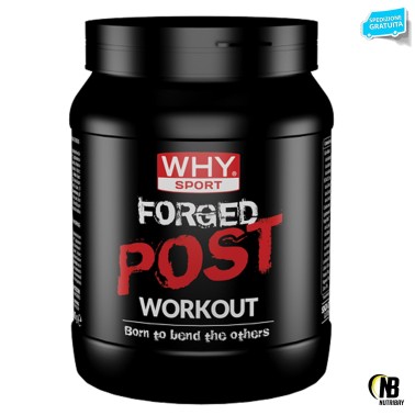 WHY SPORT Forged Post Workout 600 gr POST WORKOUT COMPLETI