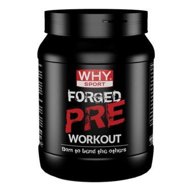 WHY SPORT Forged Pre Workout 300 gr PRE ALLENAMENTO