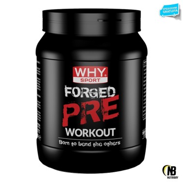 WHY SPORT Forged Pre Workout 300 gr PRE ALLENAMENTO