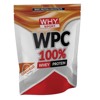 WHY SPORT WPC 100% Whey 1 Kg - Proteine concentrate del siero del latte PROTEINE