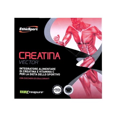 ETHIC SPORT Creatina Vector 20 buste da 8 grammi CREATINA