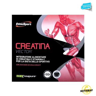 ETHIC SPORT Creatina Vector 20 buste da 8 grammi CREATINA