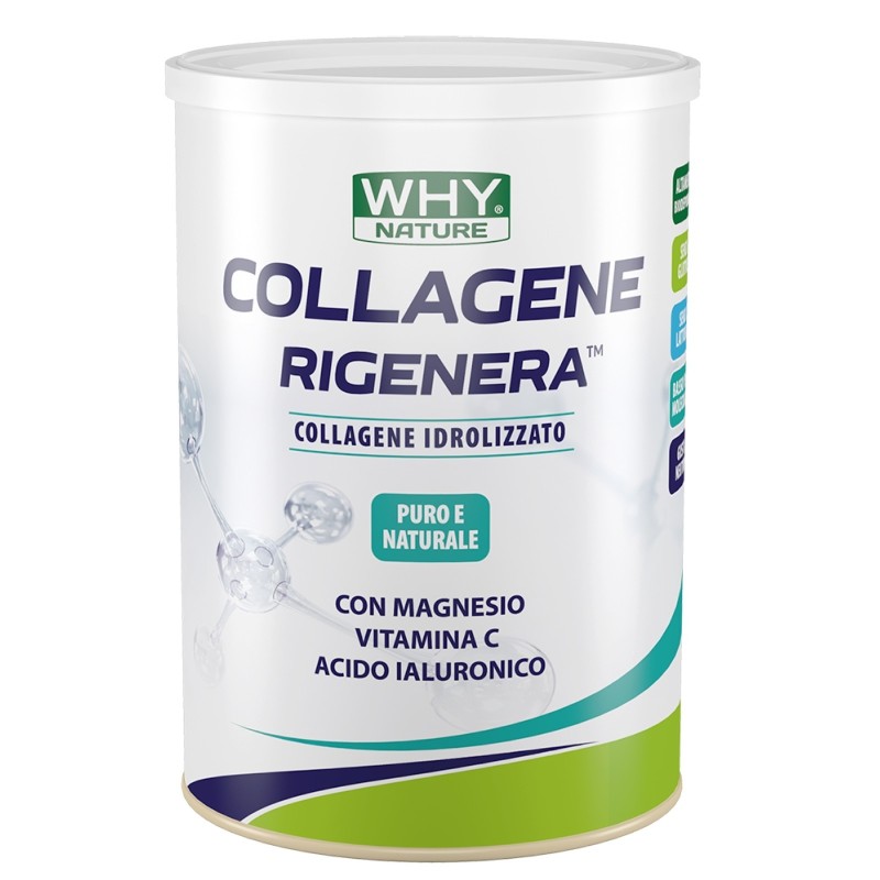 Collagene rigenera 330 gr why nature 8055271484051