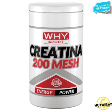 WHY SPORT CREATINA 200 MESH 500 gr CREATINA