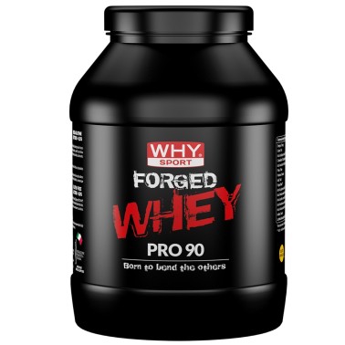 WHY SPORT FORGED WHEY PRO 90 900 gr PROTEINE
