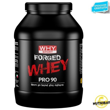WHY SPORT FORGED WHEY PRO 90 900 gr PROTEINE