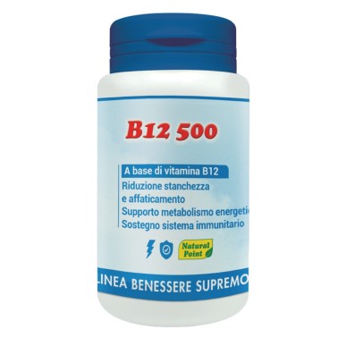 NATURAL POINT B12 500, 100 caps VITAMINE