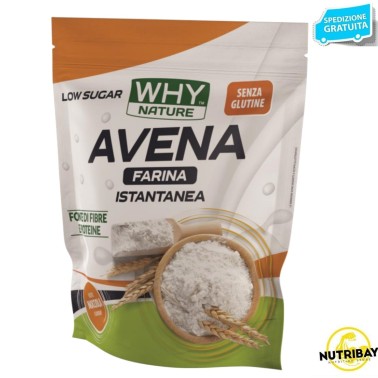 WHY NATURE FARINA D'AVENA ISTANTANEA GLUTEN FREE 1000 gr AVENE - ALIMENTI PROTEICI