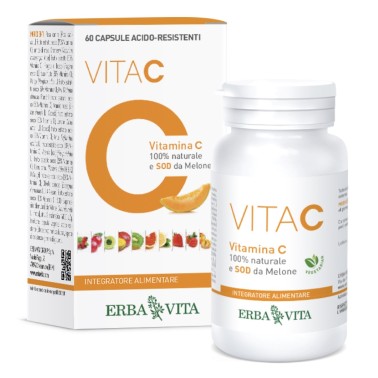 ERBA VITA VITA C 12 FRUTTI 60 caps VITAMINE