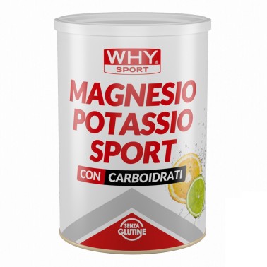 WHY SPORT MAGNESIO POTASSIO SPORT 300 gr SALI MINERALI