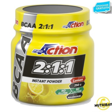 PROACTION BCAA 2:1:1 INSTANT 250 gr AMINOACIDI BCAA