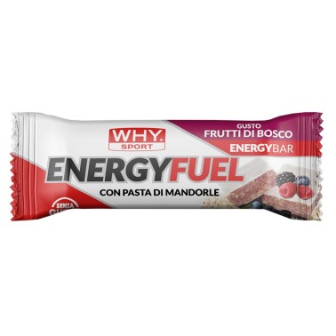 WHY SPORT ENERGY FUEL 1 barretta 30 gr BARRETTE ENERGETICHE