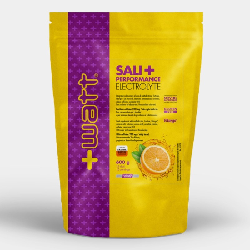 +WATT SALI+ PERFORMANCE DOYPACK 600 gr SALI MINERALI