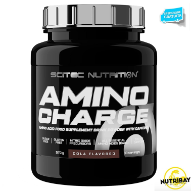 Scitec Nutrition Amino Charge 570 gr 9 Aminoacidi Essenziali + Citrullina e Glutammina AMINOACIDI COMPLETI / ESSENZIALI