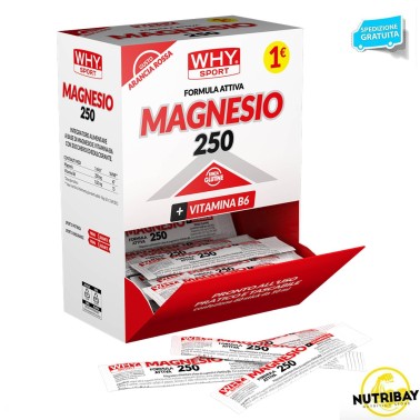 WHY SPORT MAGNESIO 250 B6 1 bustina da 10 ml SALI MINERALI