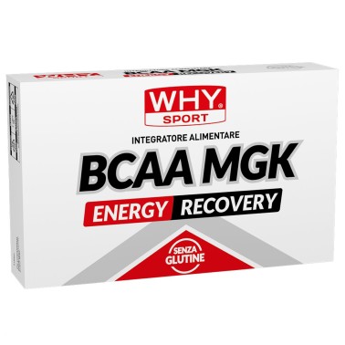 WHY SPORT BCAA MGK 40 cpr in vendita su Nutribay.it