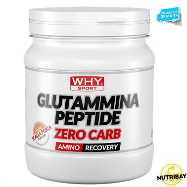 WHY SPORT GLUTAMMINA PEPTIDE ZERO CARB - 330 gr GLUTAMMINA