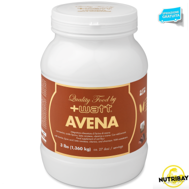 +Watt Farina di Avena senza Glutine 1,36 kg con taurina acido lipoico Q10 vitamine e cromo picolinato in vendita su Nutribay.it