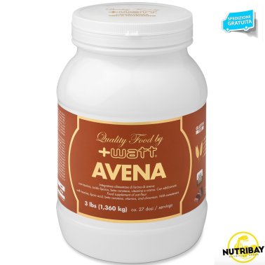 +Watt Farina di Avena senza Glutine 1,36 kg con taurina acido lipoico Q10 vitamine e cromo picolinato AVENE - ALIMENTI PROTEICI